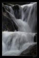 /album/potucky/img-7186upr-jpg/
